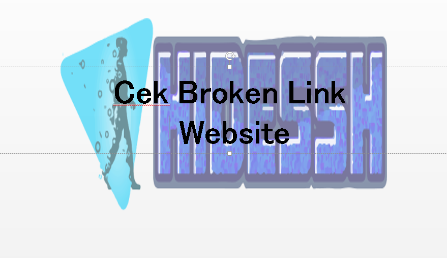 Cara Mencari Link Rusak (Broken Links) dengan Linkinator