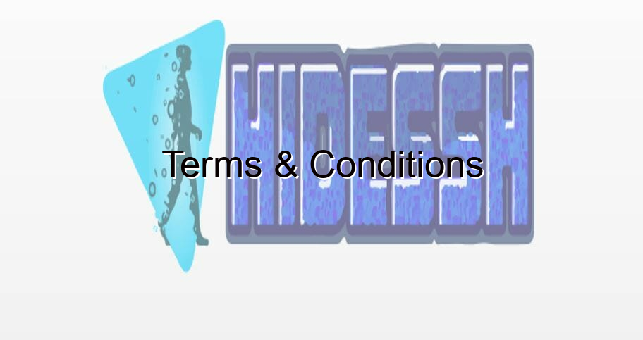terms conditions 2 846 - HideSSH